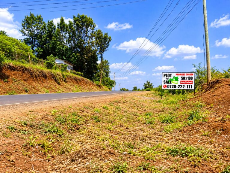 Magogoni phase 1